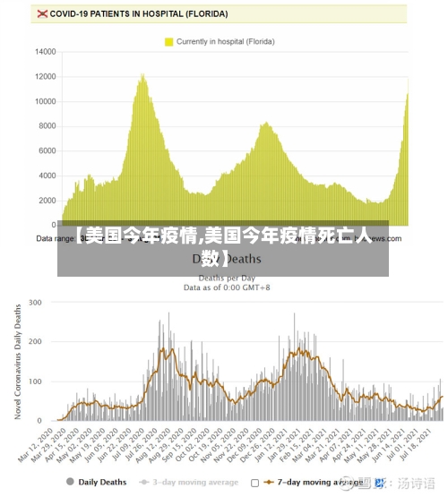 【美国今年疫情,美国今年疫情死亡人数】-第2张图片