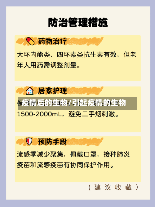 疫情后的生物/引起疫情的生物-第1张图片