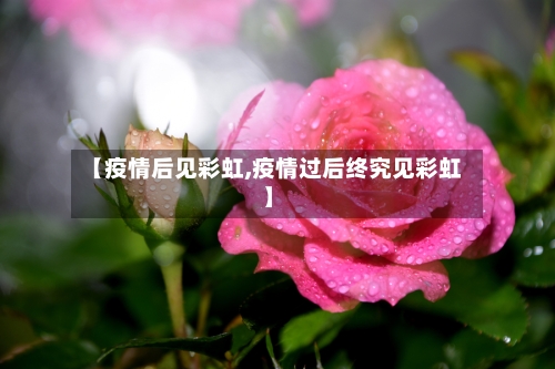 【疫情后见彩虹,疫情过后终究见彩虹】-第1张图片