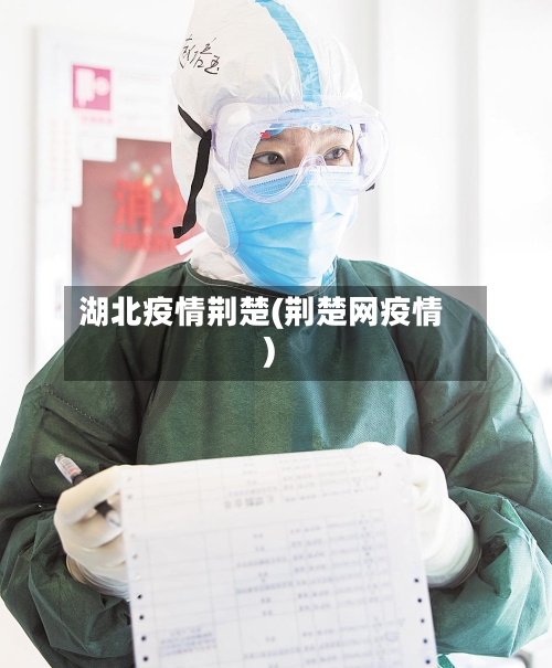湖北疫情荆楚(荆楚网疫情)-第2张图片