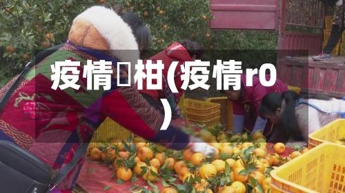 疫情椪柑(疫情r0)-第2张图片