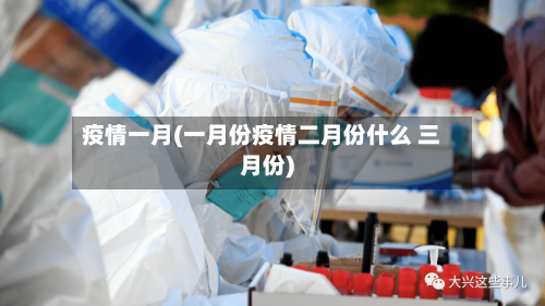 疫情一月(一月份疫情二月份什么 三月份)-第2张图片