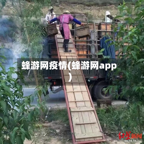 蜂游网疫情(蜂游网app)-第2张图片