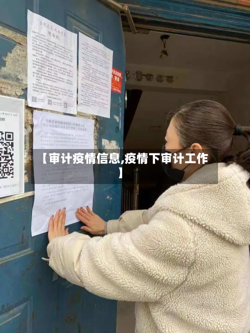 【审计疫情信息,疫情下审计工作】-第3张图片