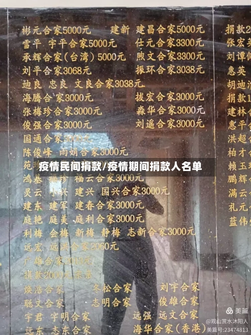 疫情民间捐款/疫情期间捐款人名单-第2张图片