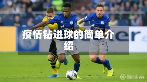 疫情钻进球的简单介绍-第1张图片