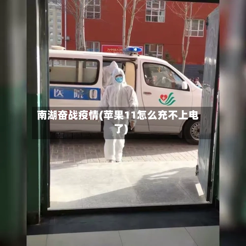 南湖奋战疫情(苹果11怎么充不上电了)-第2张图片