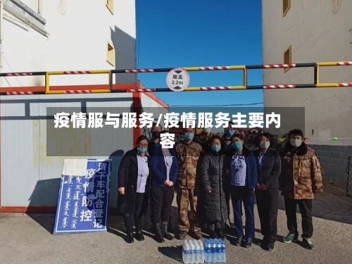 疫情服与服务/疫情服务主要内容-第1张图片