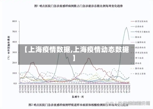 【上海疫情数据,上海疫情动态数据】-第1张图片