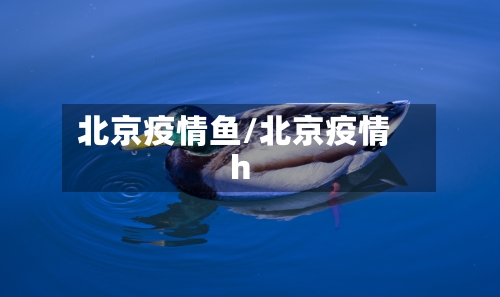 北京疫情鱼/北京疫情h-第1张图片