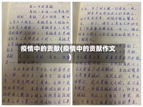疫情中的贡献(疫情中的贡献作文)-第3张图片
