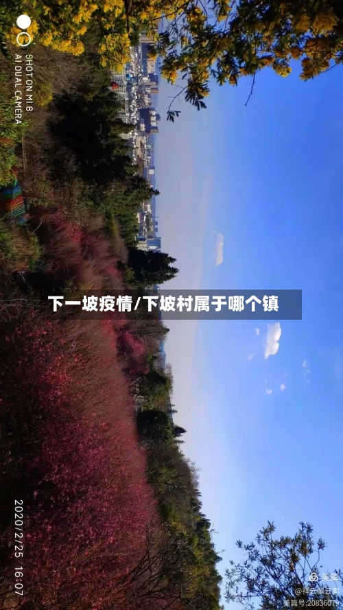 下一坡疫情/下坡村属于哪个镇-第1张图片