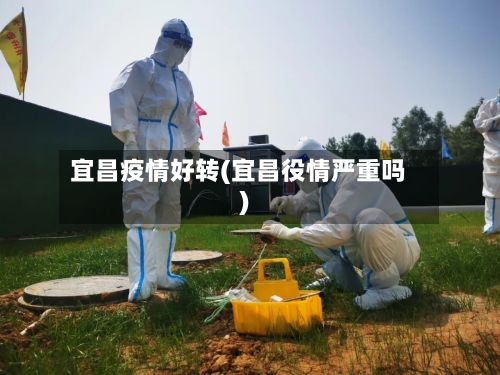 宜昌疫情好转(宜昌役情严重吗)-第1张图片
