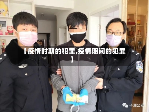 【疫情时期的犯罪,疫情期间的犯罪】-第2张图片