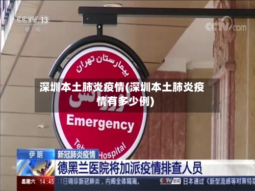 深圳本土肺炎疫情(深圳本土肺炎疫情有多少例)-第1张图片