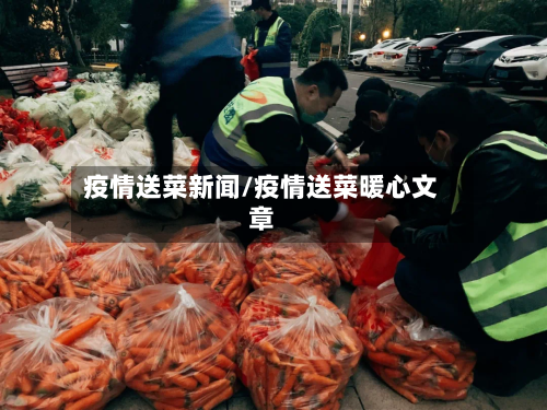 疫情送菜新闻/疫情送菜暖心文章-第1张图片