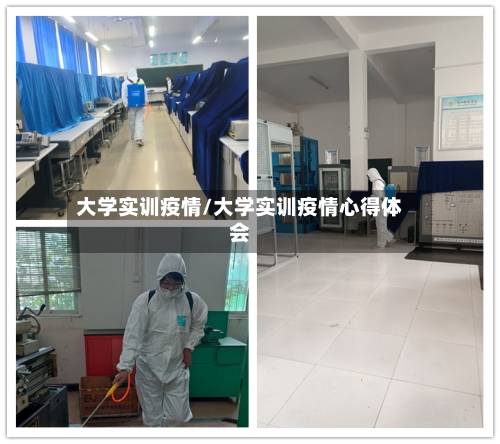 大学实训疫情/大学实训疫情心得体会-第1张图片