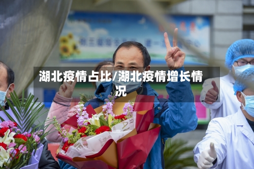 湖北疫情占比/湖北疫情增长情况-第3张图片
