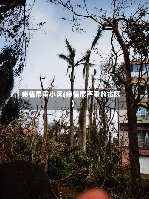 疫情最重小区(疫情最严重的市区)-第3张图片
