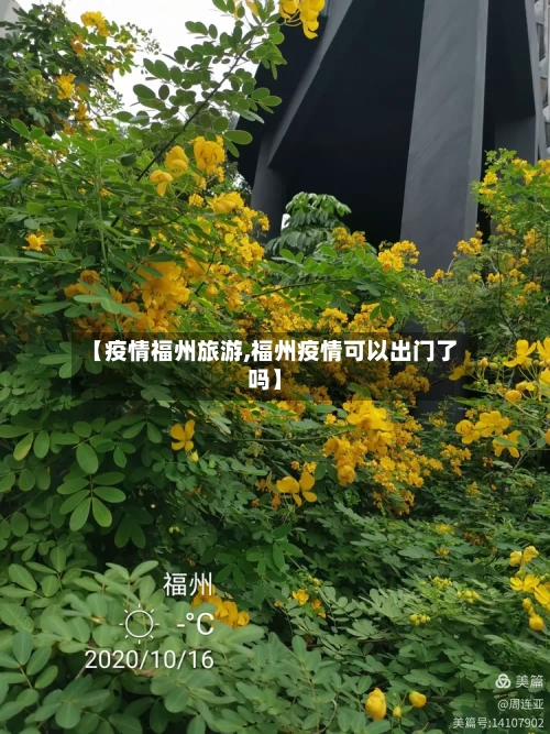 【疫情福州旅游,福州疫情可以出门了吗】-第1张图片