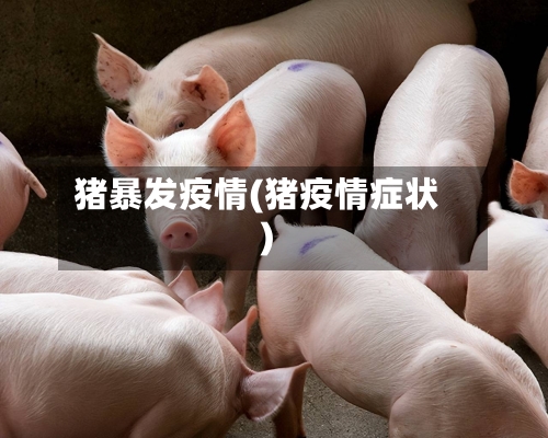 猪暴发疫情(猪疫情症状)-第1张图片