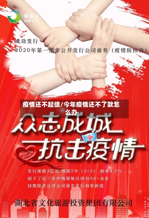 疫情还不起债/今年疫情还不了款怎么办-第1张图片