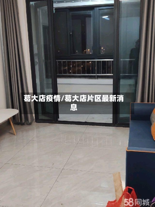葛大店疫情/葛大店片区最新消息-第1张图片