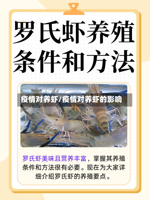 疫情对养虾/疫情对养虾的影响-第1张图片