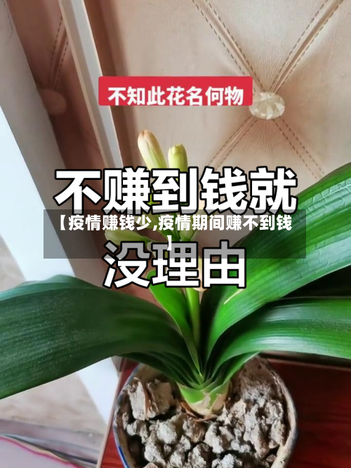 【疫情赚钱少,疫情期间赚不到钱】-第1张图片