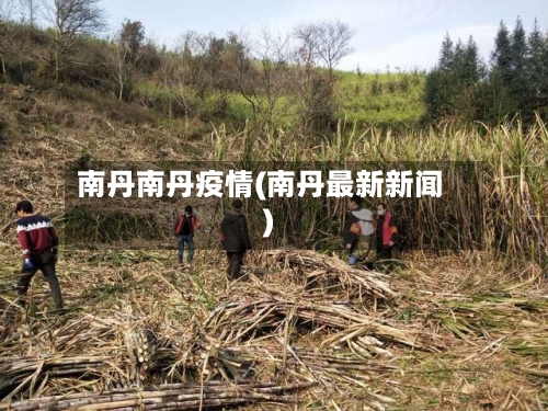 南丹南丹疫情(南丹最新新闻)-第1张图片