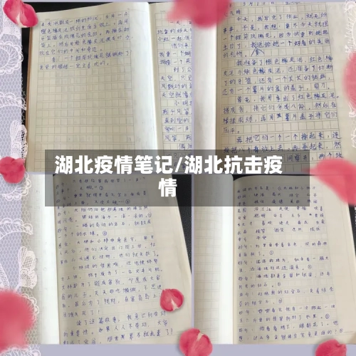 湖北疫情笔记/湖北抗击疫情-第2张图片