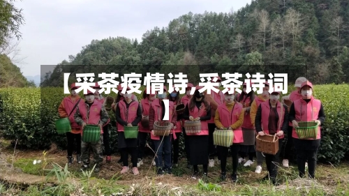 【采茶疫情诗,采茶诗词】-第1张图片