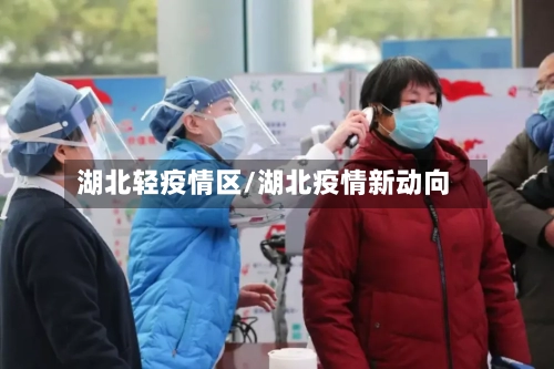 湖北轻疫情区/湖北疫情新动向-第1张图片