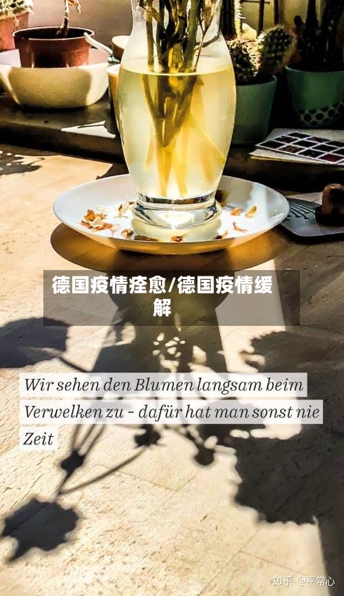 德国疫情痊愈/德国疫情缓解-第2张图片