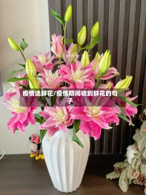 疫情送鲜花/疫情期间收到鲜花的句子-第1张图片