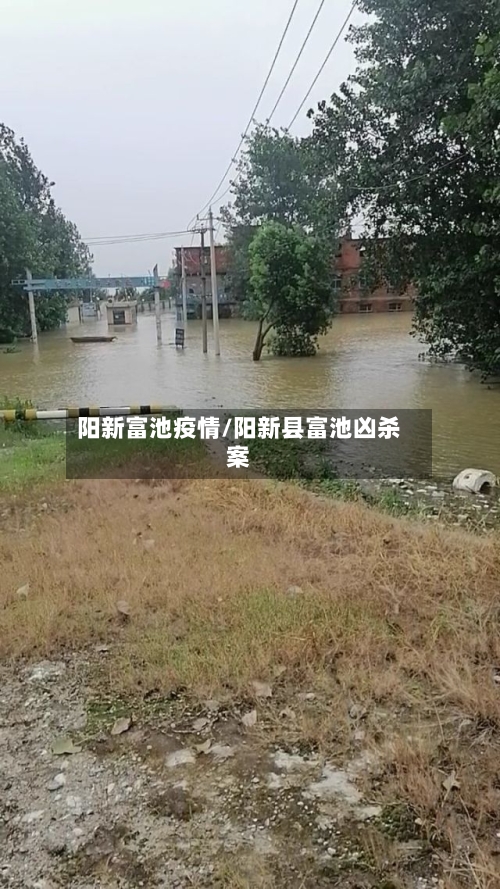 阳新富池疫情/阳新县富池凶杀案-第1张图片