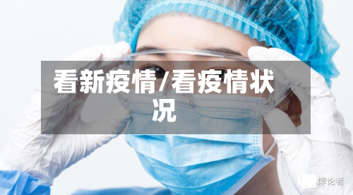 看新疫情/看疫情状况-第1张图片