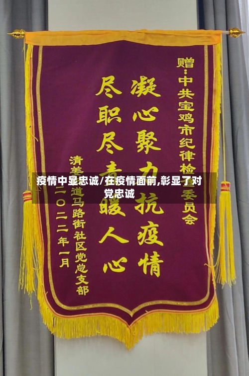 疫情中显忠诚/在疫情面前,彰显了对党忠诚-第2张图片
