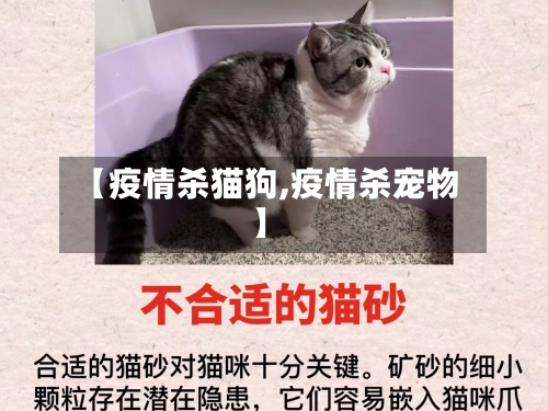 【疫情杀猫狗,疫情杀宠物】-第1张图片