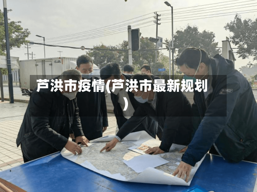 芦洪市疫情(芦洪市最新规划)-第2张图片