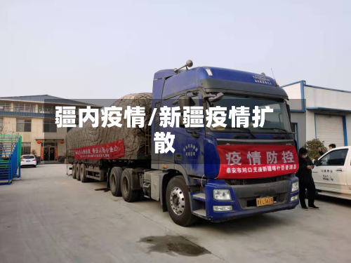 疆内疫情/新疆疫情扩散-第3张图片