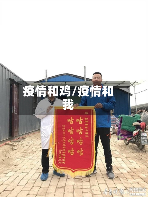 疫情和鸡/疫情和我-第1张图片