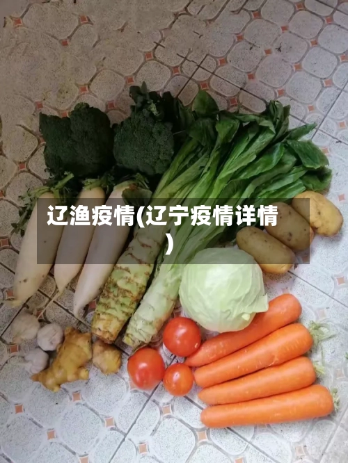 辽渔疫情(辽宁疫情详情)-第1张图片