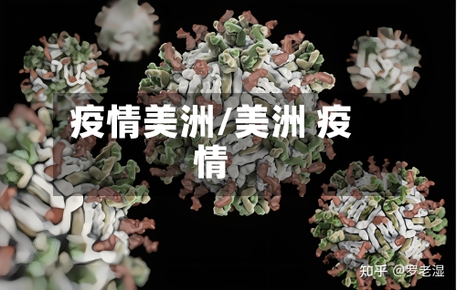 疫情美洲/美洲 疫情-第2张图片