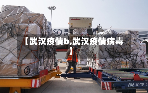 【武汉疫情b,武汉疫情病毒】-第1张图片