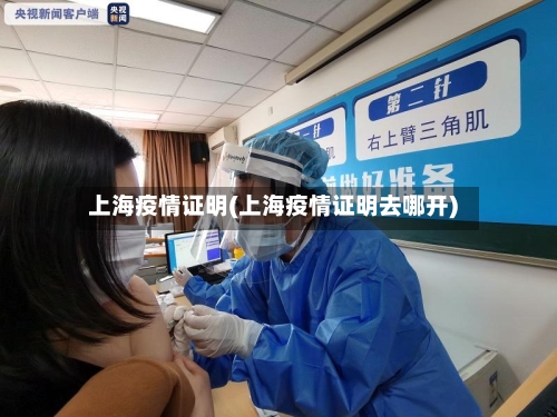 上海疫情证明(上海疫情证明去哪开)-第1张图片