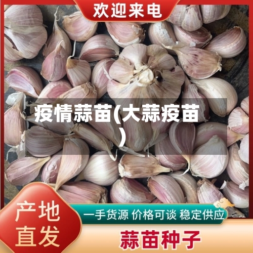 疫情蒜苗(大蒜疫苗)-第1张图片