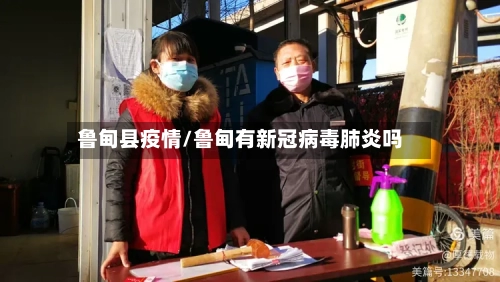 鲁甸县疫情/鲁甸有新冠病毒肺炎吗-第2张图片