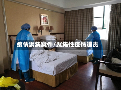 疫情聚集案件/聚集性疫情追责-第1张图片