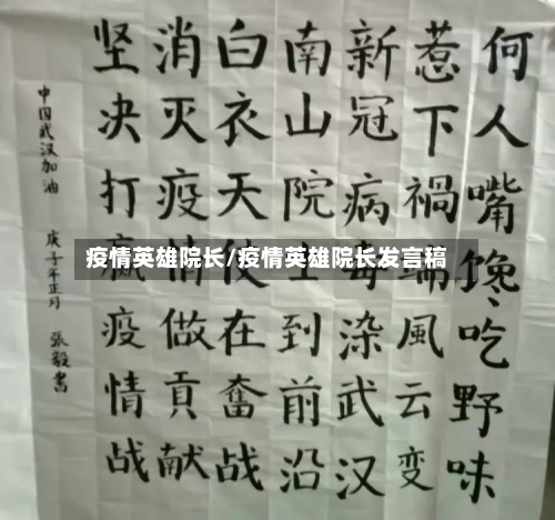 疫情英雄院长/疫情英雄院长发言稿-第2张图片